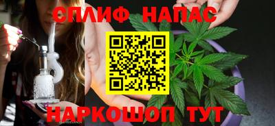 сатива Краснознаменск