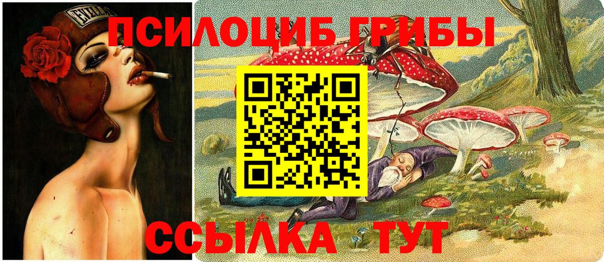 Псилоцибиновые грибы мицелий  Галлюциногенные грибы прущие грибы  Коряжма  сколько стоит  Вход с VPN 