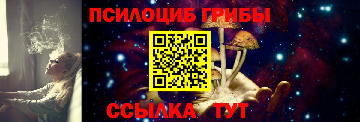 Псилоцибиновые грибы Cubensis Коряжма